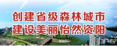 騒逼草逼网站创建省级森林城市 建设美丽怡然资阳